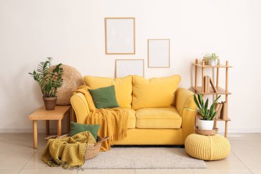 Yumuşak kanepe, ekose ve yastıklı sepet, duvarda çerçeveler ve oturma odasında bitkiler.
