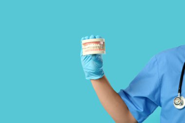 Mavi arka planda çene modeli olan erkek tıp öğrencisi