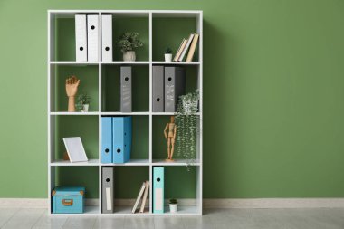 Ofiste yeşil duvarın yanında doküman klasörleri ve bitkileri olan raf ünitesi