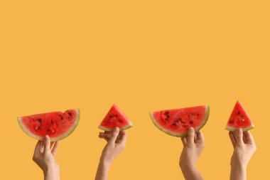 Sarı arka planda olgun karpuz dilimleriyle kadın elleri.