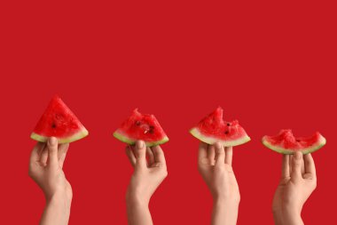 Kırmızı arka planda olgun karpuz dilimleriyle kadın elleri.