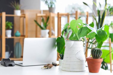 Çiçekçide masanın üstünde bitkiler olan bir dizüstü bilgisayar.