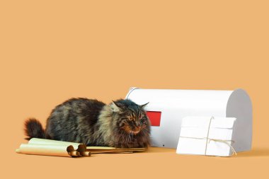 Şirin kedi, posta kutusu, renkli arkaplanda mektuplar ve paketler