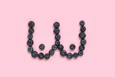 Pembe arka planda olgun yaban mersininden yapılmış dişi göğüs. Erotik ve sağlık hizmetleri kavramı