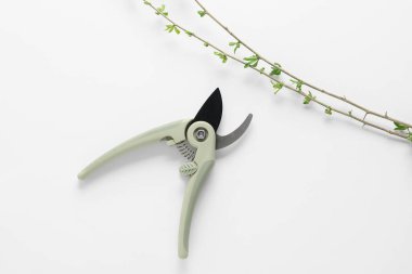 Beyaz arkaplanda ağaç dalları olan Secateurs