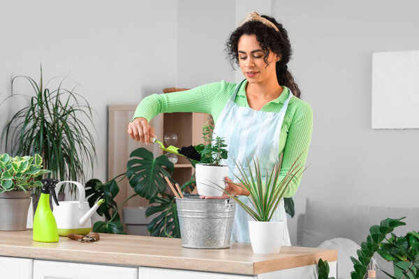 Женщина-афро-американский садовник кладет почву в горшок с растением дома