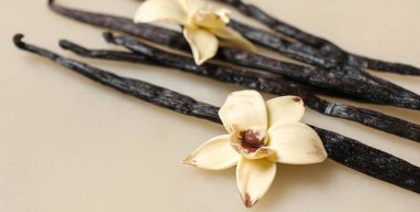 Aromatik vanilya çubukları ve bej arka planda çiçekler, yakın plan.