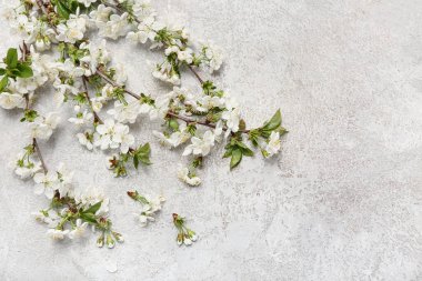 Güzel çiçek dalları gri arka plan üzerinde