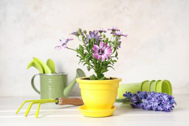 Çiçek açan saksı ve beyaz arka planda bahçe araçları
