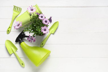 Beyaz ahşap arka planda bahçe aletleri olan çiçek açan bir bitki naklediliyor. Üst görünüm