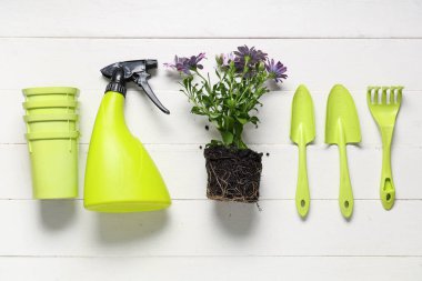 Beyaz ahşap arka planda bahçe aletleri olan çiçek açan bir bitki naklediliyor. Üst görünüm
