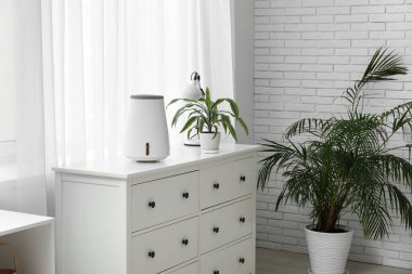 Beyaz çekmecelere modern nemlendirici ve şık bir odada ev bitkisi.