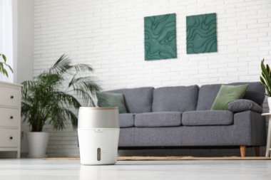 Siyah kanepe, çekmeceler ve oturma odasındaki nemlendirici.