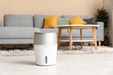 Modern nemlendirici kanepenin yanında ve şık oturma odasındaki kahve masasının yanında.