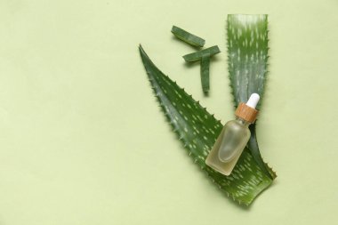 Yeşil arka planda gerekli yağ şişesiyle taze aloe vera yaprakları