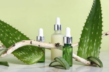 Aloe vera yaprakları, ağaç dalı ve yeşil arka planda gerekli yağ şişeleri, yakın plan