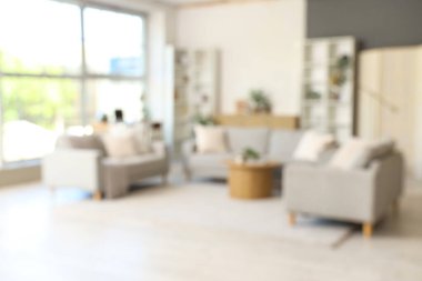 Gri kanepeler, kahve masası ve bitkilerle aydınlık oturma odasının bulanık görüntüsü