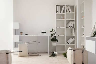 Depremden sonra mobilyaların ve ev bitkilerinin devrildiği dağınık ofis.