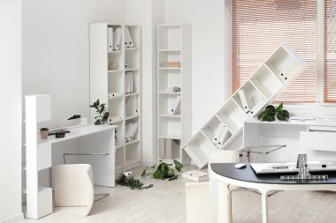 Depremden sonra mobilyaların ve ev bitkilerinin devrildiği dağınık ofis.