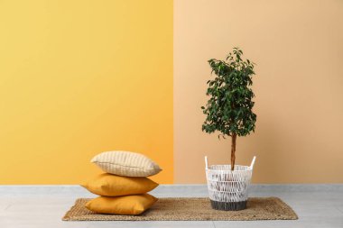 Odadaki renkli duvarın yanında halı ve yastıklar var.