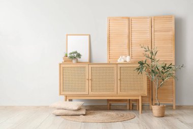 Beyaz duvarın yanındaki klozette katlanan ekran ve ev dekoru