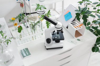 Biyoloji sınıfında bitkilerle dolu mikroskop ve test tüpleri.