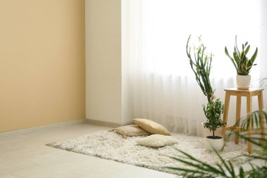 Çiçekler, yastıklar ve halı odada ışık perdesinin yanında.