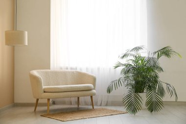 Çiçek ve kanepe. Odada ışık perdesi yanında halı var.