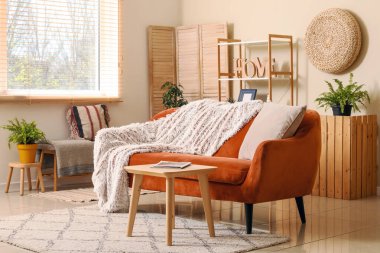 Ekoseli rahat kanepe ve oturma odasının iç tarafında dergi olan kahve masası.