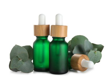 Beyaz arka planda gerekli yağ ve okaliptüs dalları şişeleri, yakın plan