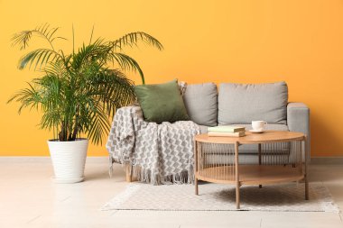 Konforlu kanepe, bitki ve kahve masası, kitaplar ve turuncu duvarın yanında çay.