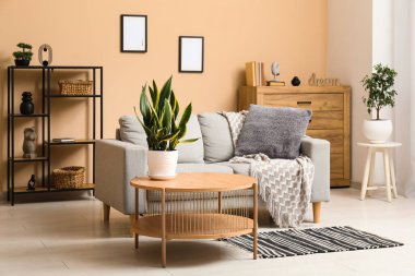 Ekoseli rahat bir kanepe, yastık ve oturma odasında bitkilerle dolu bir sehpa.