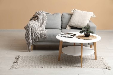 Ekoseli rahat bir kanepe, yastıklar ve dergi ile kahve masası ve oturma odasında bitki.