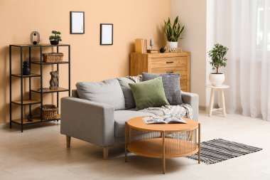 Ekoseli rahat kanepe, yastıklar ve oturma odasında dergi olan kahve masası.