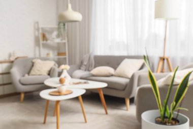 Rahat bir kanepe, yastıklı koltuklar ve oturma odasında bir fincan çay ve vazoda çiçekler olan kahve masaları. Bulanık görünüm