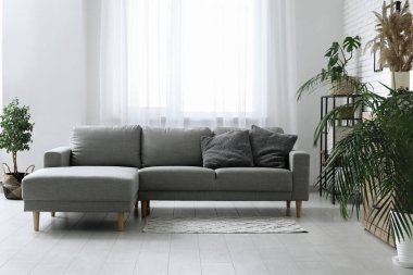 Oturma odasında rahat bir kanepe, saksı ve raf ünitesi var.