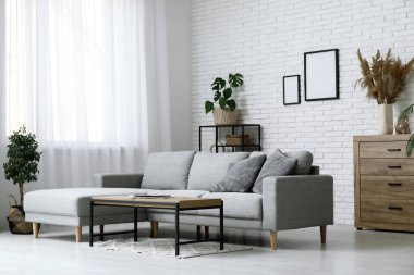 Rahat kanepesi, sehpası ve saksısı olan şık bir oturma odası.