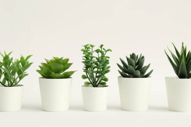 Beyaz arkaplanda yapay bitkiler