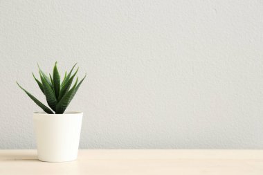 Işık duvarının yanındaki masada yapay aloe var.