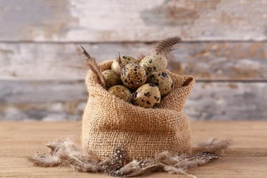 Taze bıldırcın yumurtaları ve ahşap arka planda tüyleri olan çuval.