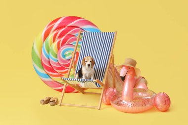 Güvertedeki sandalyede yüzen yatağın yanında oturan sevimli Beagle köpeği ve sarı arka planda şişme yüzük.