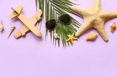 Şık güneş gözlüklü kompozisyon, ahşap uçak, palmiye yaprağı ve leylak arka planda deniz yıldızı