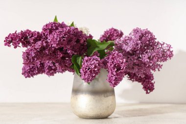 Beyaz arka planda çiçek açan vazo