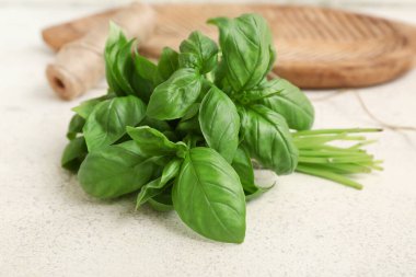 Beyaz arkaplanda taze yeşil fesleğen yaprakları