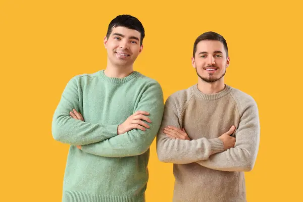 stock image Handsome young brothers on yellow background