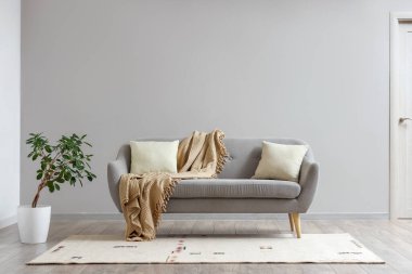 Oturma odasında bej halı, kanepe ve bitki var.