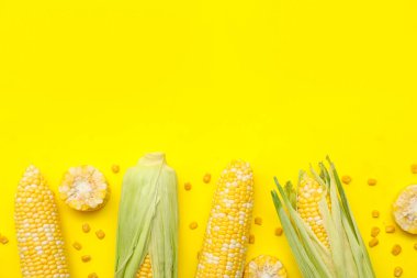 Sarı arka planda tohumları olan taze mısır koçanları.