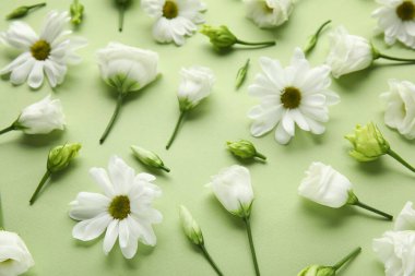 Yeşil arka planda güzel Eustoma ve papatya çiçekleri olan kompozisyon, yakın plan