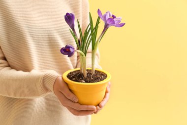 Sarı arka planda güzel çiçek saksısı olan bir kadın.