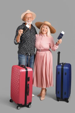 Bavulları, pasaportları ve gri arka planda biletleri olan yaşlı çift.